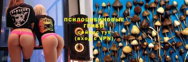 бошки Абаза