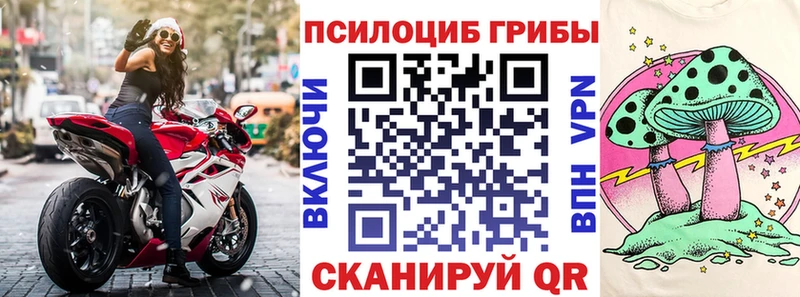 Псилоцибиновые грибы Magic Shrooms  Ярославль 